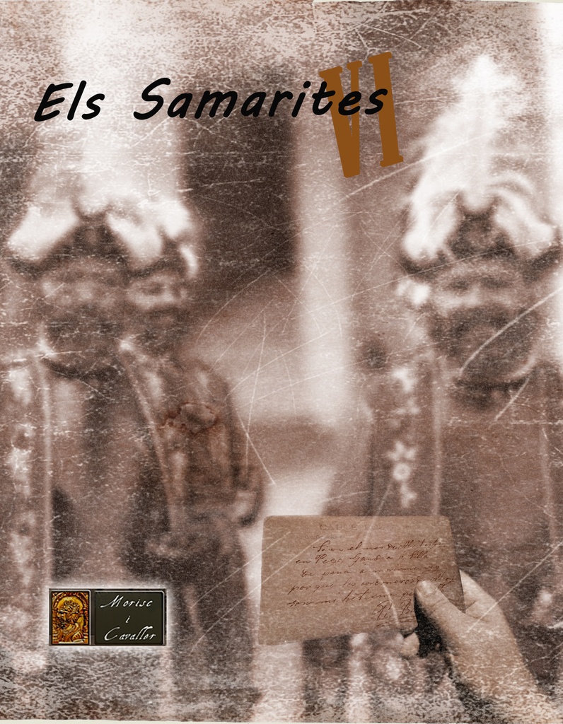 LIBRO SAMARITA VI